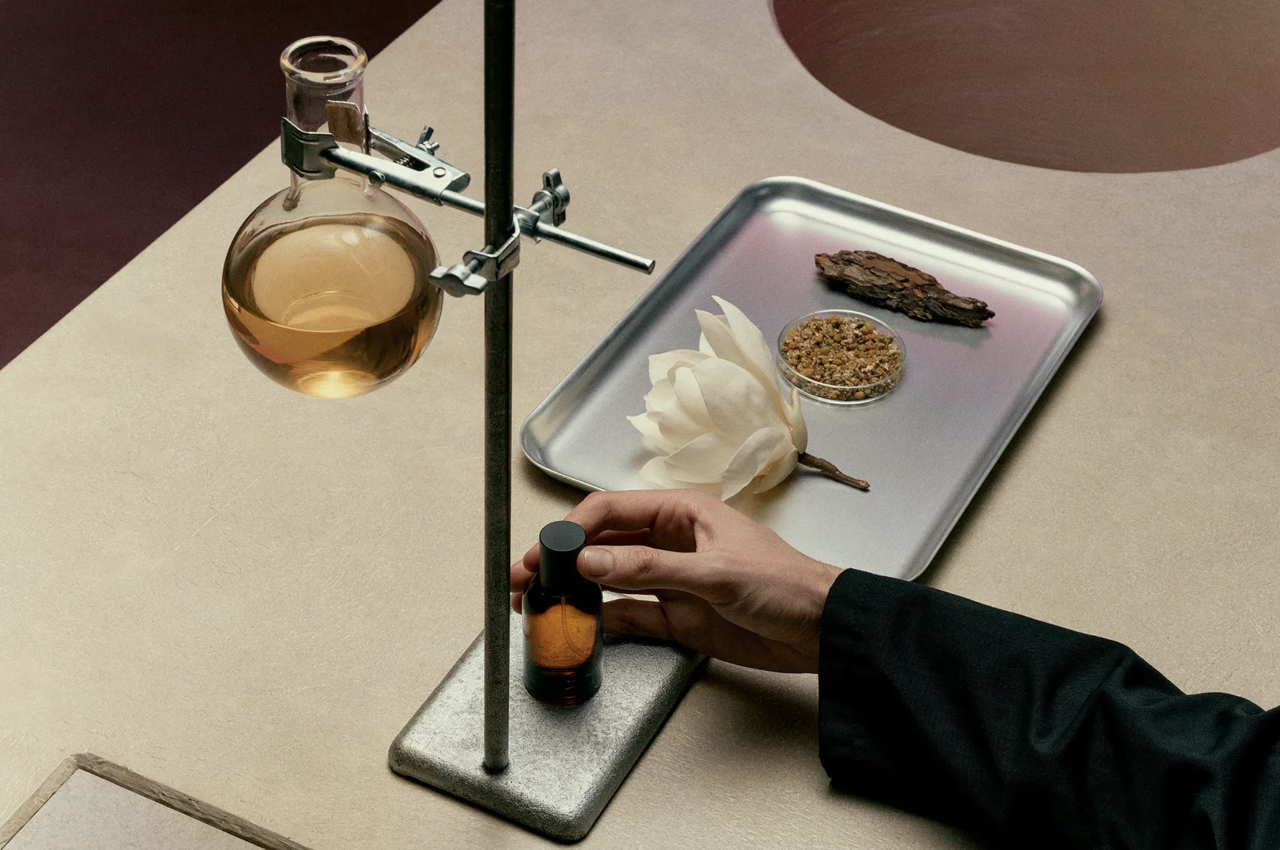 A Defiant Bloom - Aurner Eau de Parfum by Aesop — MR. GUMBATRON ™ A Defiant Bloom - Aurner Eau de Parfum by Aesop — MR. GUMBATRON ™